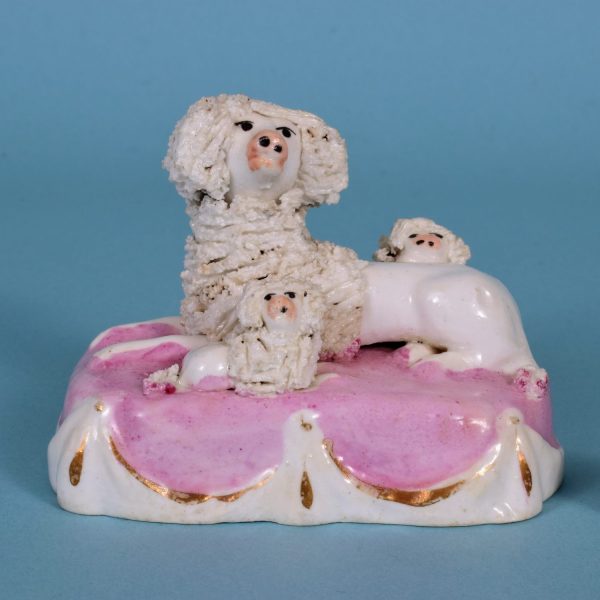 Staffordshire Poodle with Puppies.