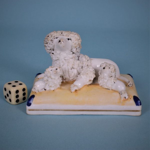 Staffordshire Poodle & puppies.
