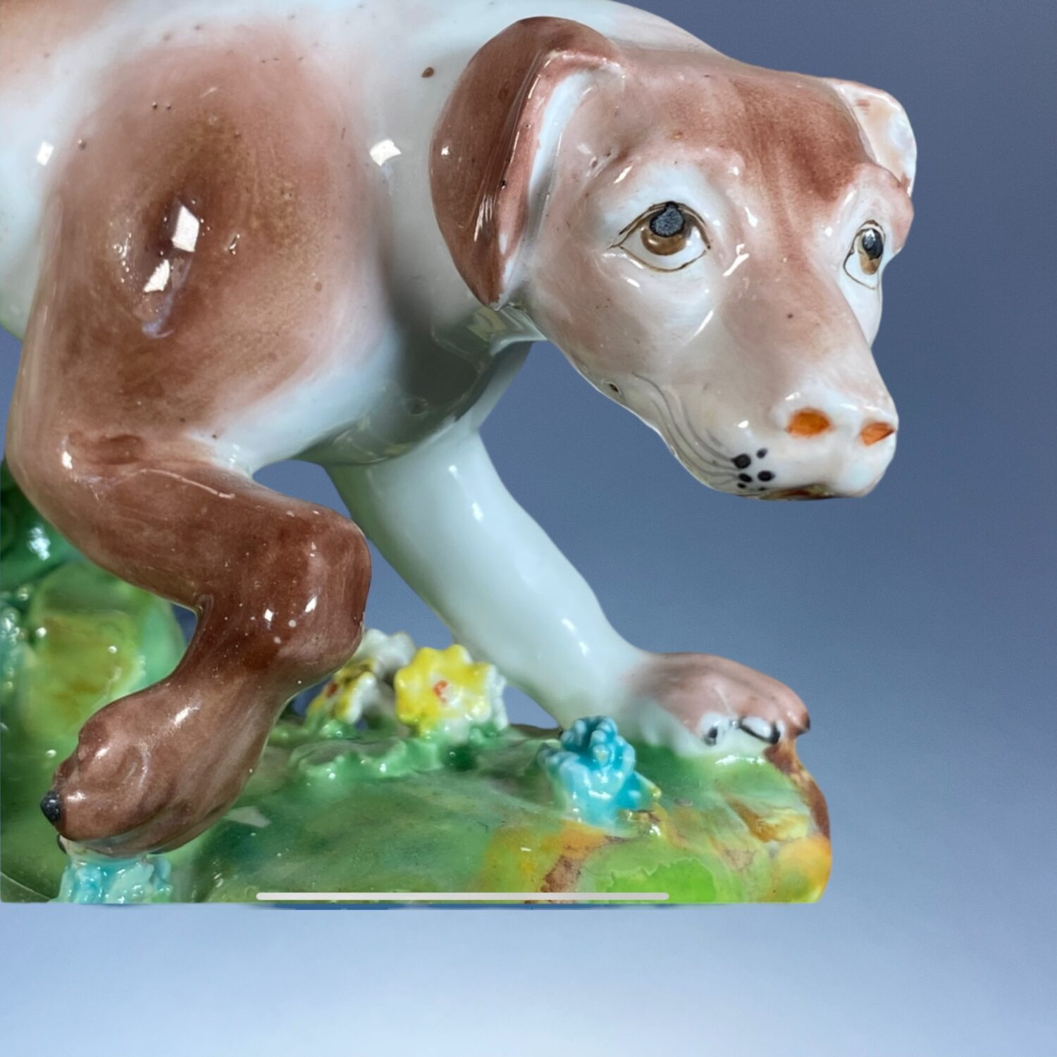 Derby Porcelain Model of a Spanish Pointer. - Image 5