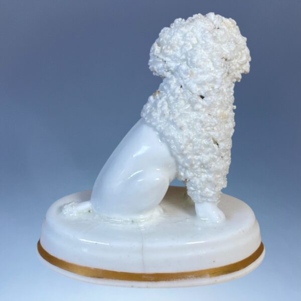 Staffordshire Porcelain Seated Poodle on an Oval Base - Image 2