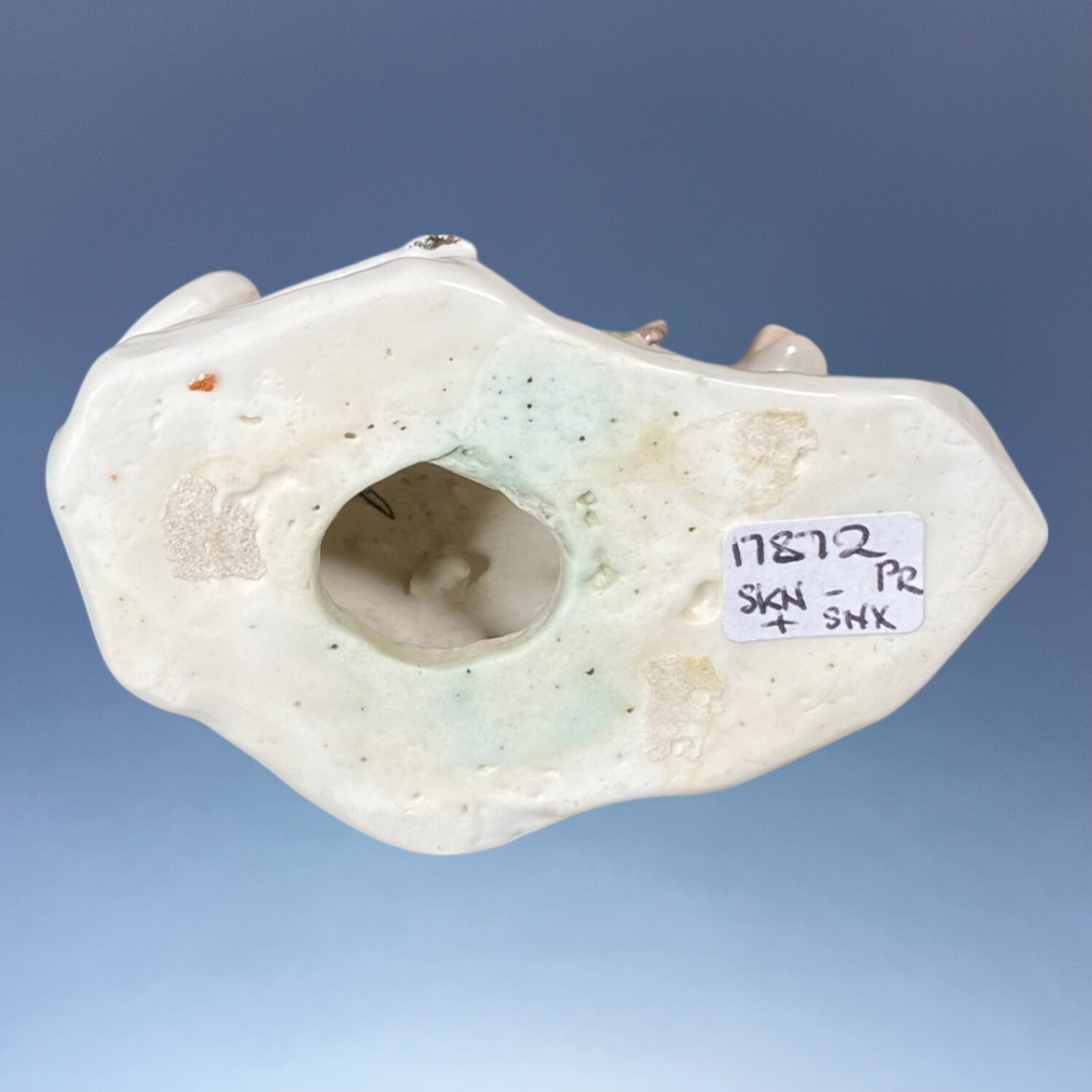 Pair of C18th Derby Porcelain Cows With Bocage - Image 7