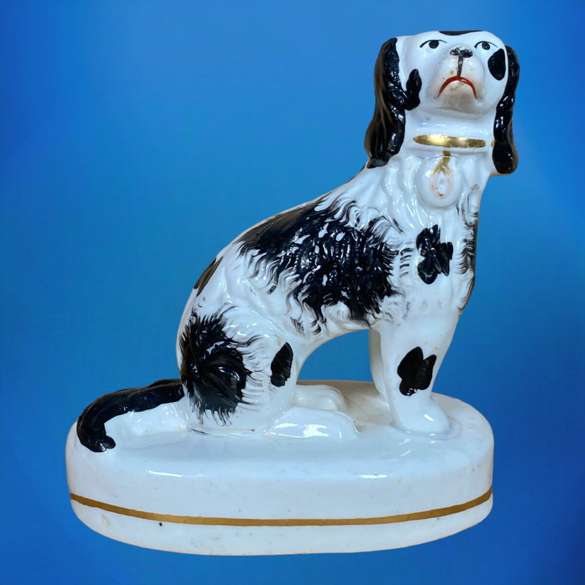 Staffordshire Black & White Spaniel.