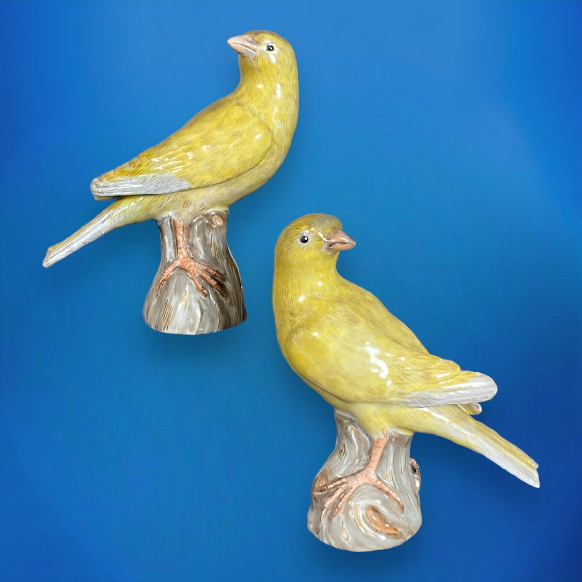 Pair Antique Meissen Porcelain Canaries, 19th century.