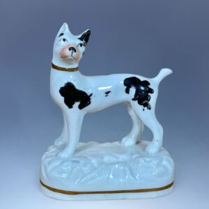 Staffordshire Miniature Black & White Dog