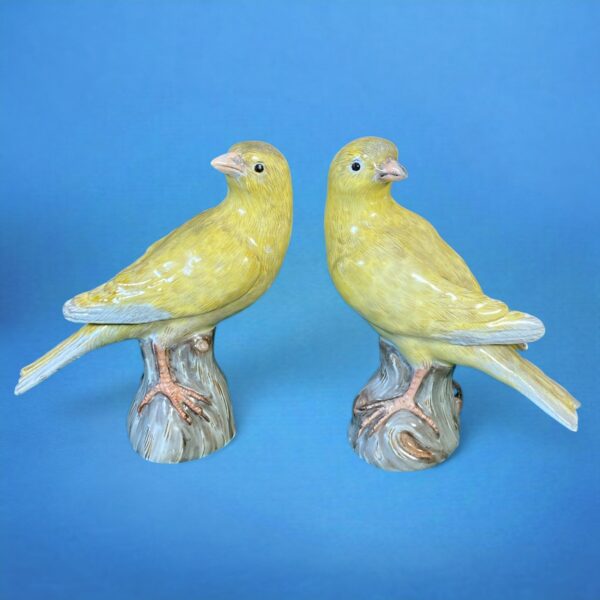 Pair Antique Meissen Porcelain Canaries, 19th century.