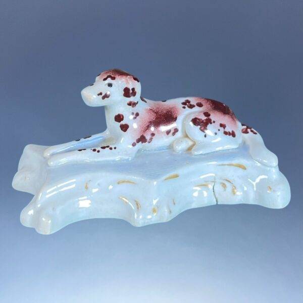 (Clearance) Pair of C19th Staffordshire Recumbent Dogs. - Image 4