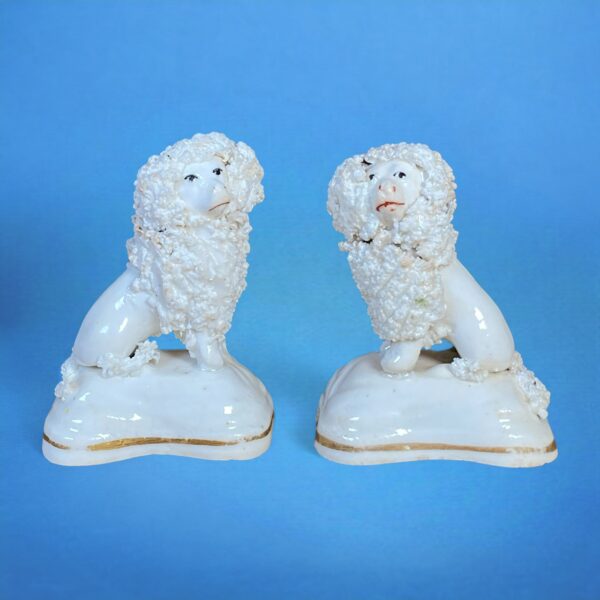 Pair of Staffordshire Porcelain Miniature Poodles.