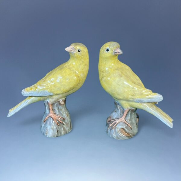 Pair of Meissen Porcelain Canaries, c1850