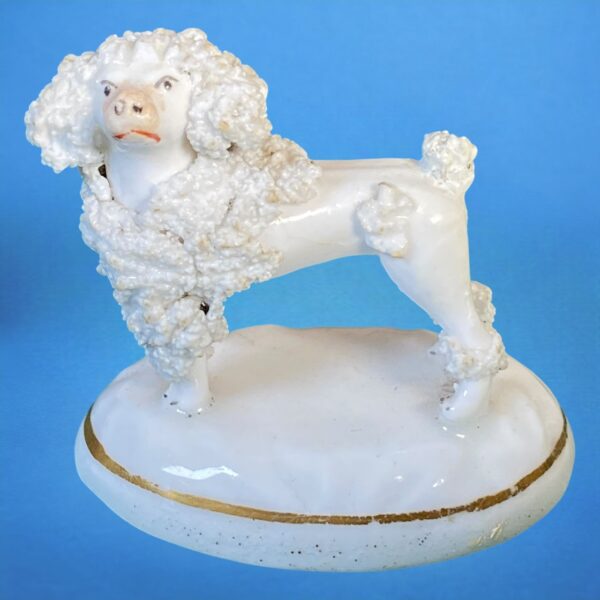 (Clearance) Staffordshire Porcelain 'Toy' Poodle. - Image 2