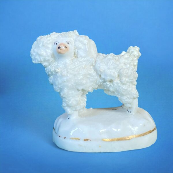 (Clearance) Staffordshire Porcelain 'Toy' Poodle.