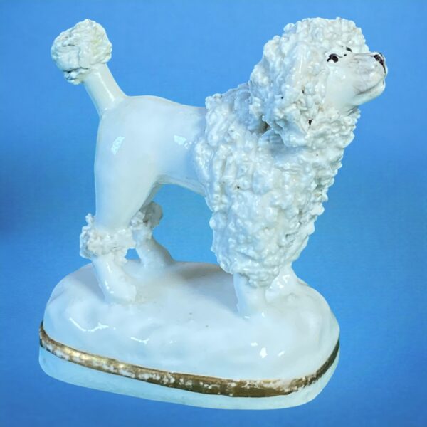 (Clearance) Staffordshire Porcelain Miniature Poodle. - Image 4