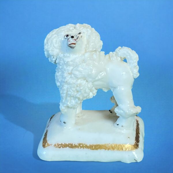 (Clearance) Staffordshire Porcelain 'Toy' Poodle.