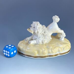 Clearance.. Samuel Alcock, Staffordshire Miniature Poodle