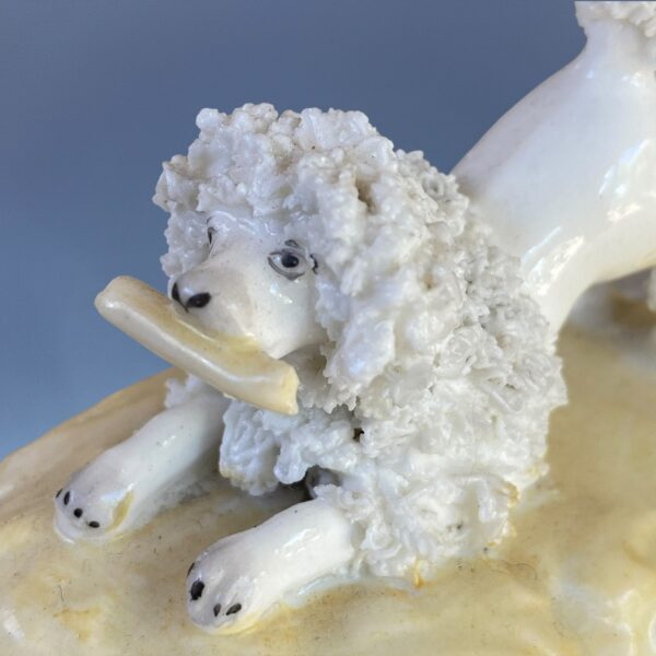 Clearance.. Samuel Alcock, Staffordshire Miniature Poodle - Image 3