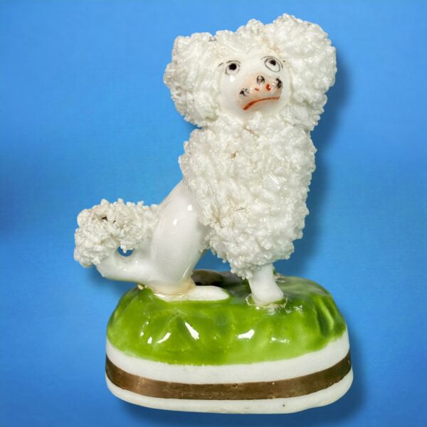 (Clearance) Staffordshire Porcelain Miniature Poodle