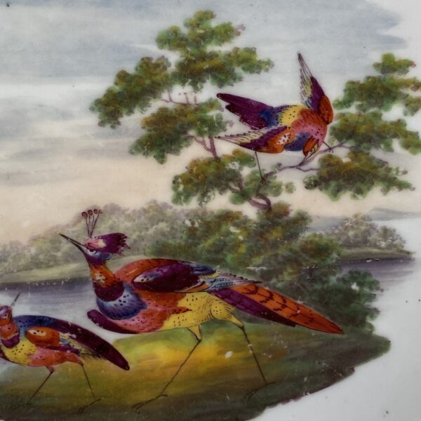 (Clearance) Pair of C19th Grainger Worcester Porcelain Plates. - Image 12