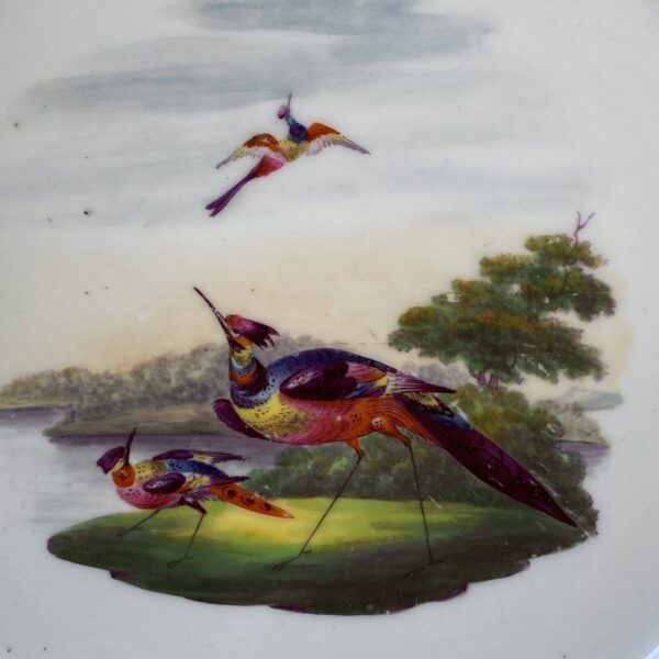 (Clearance) Pair of C19th Grainger Worcester Porcelain Plates. - Image 14