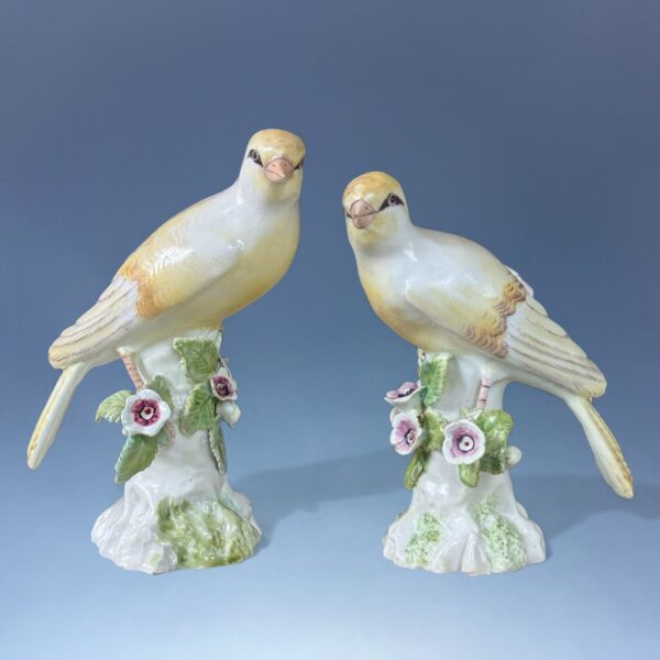 Unusual Pair of 18th Century Derby Porcelain Canaries - Image 8