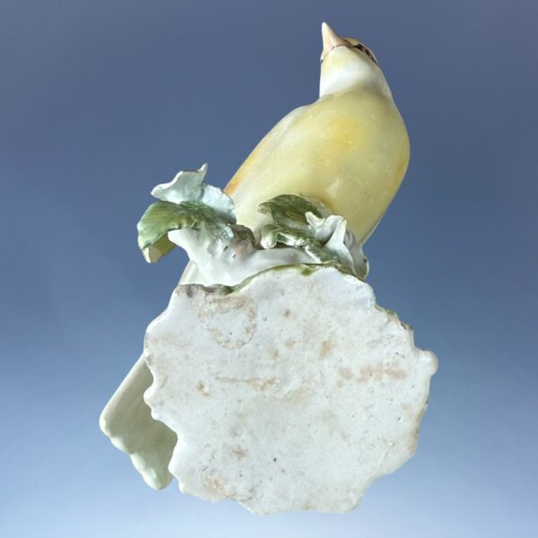 Unusual Pair of 18th Century Derby Porcelain Canaries - Image 6