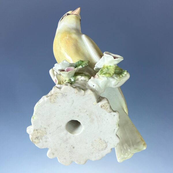 Unusual Pair of 18th Century Derby Porcelain Canaries - Image 7
