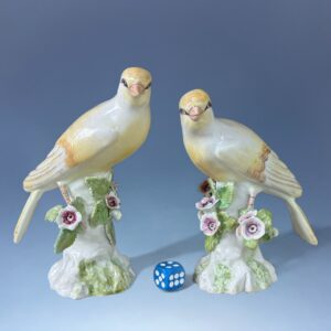 Unusual Pair of 18th Century Derby Porcelain Canaries