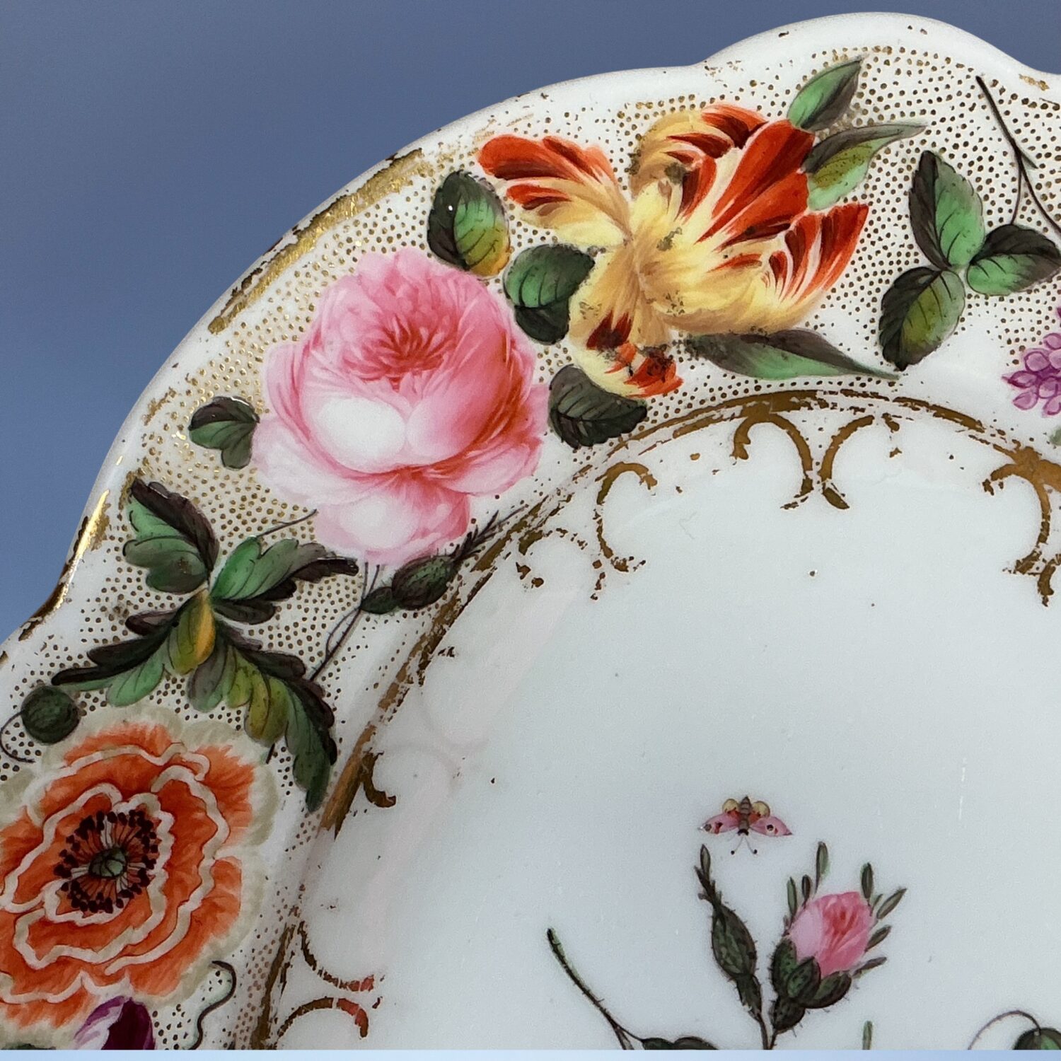 CLEARANCE - Nantgarw Porcelain Oval Dish circa 1815 - Image 2