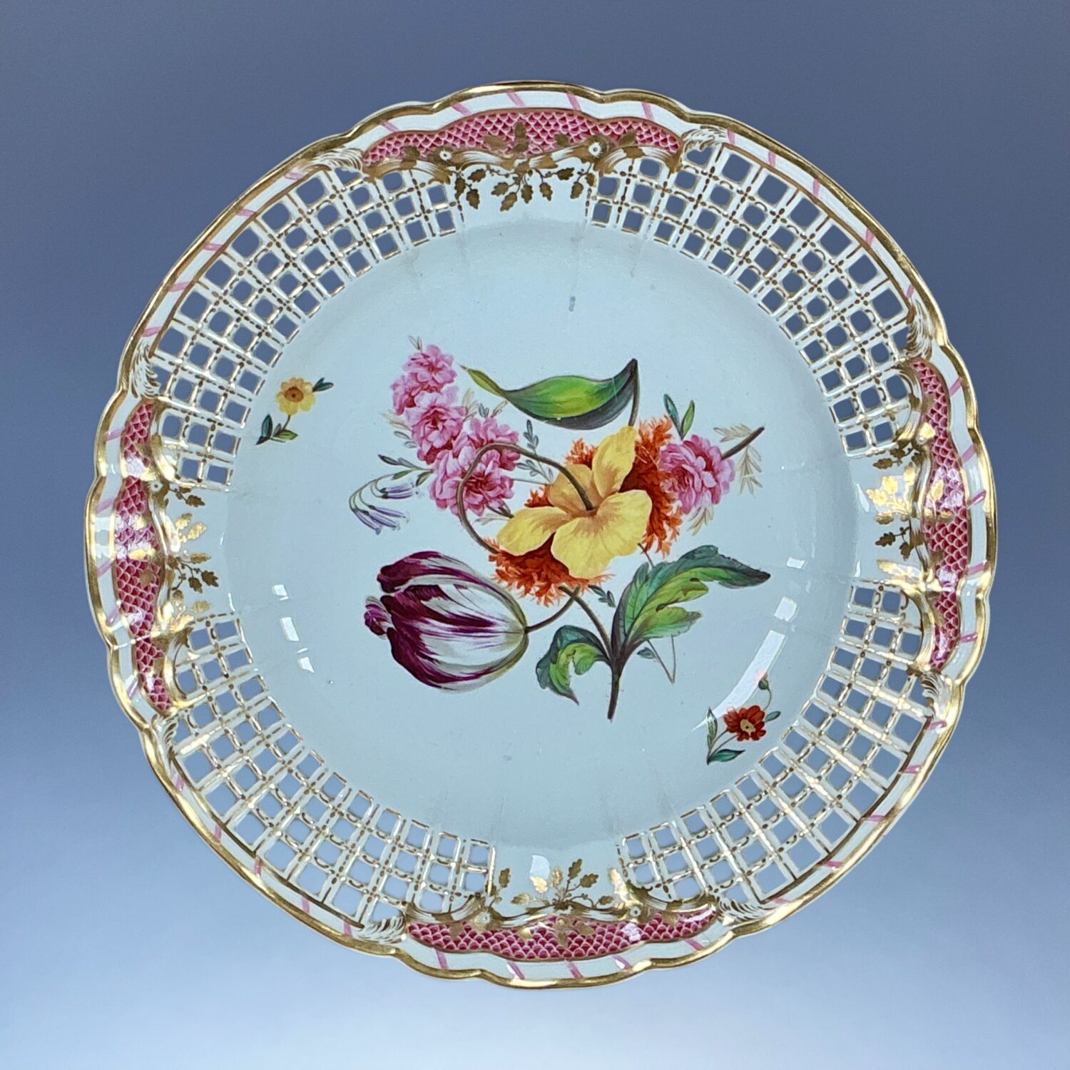 C19th Derby Botanical Plate with Lattice Border.