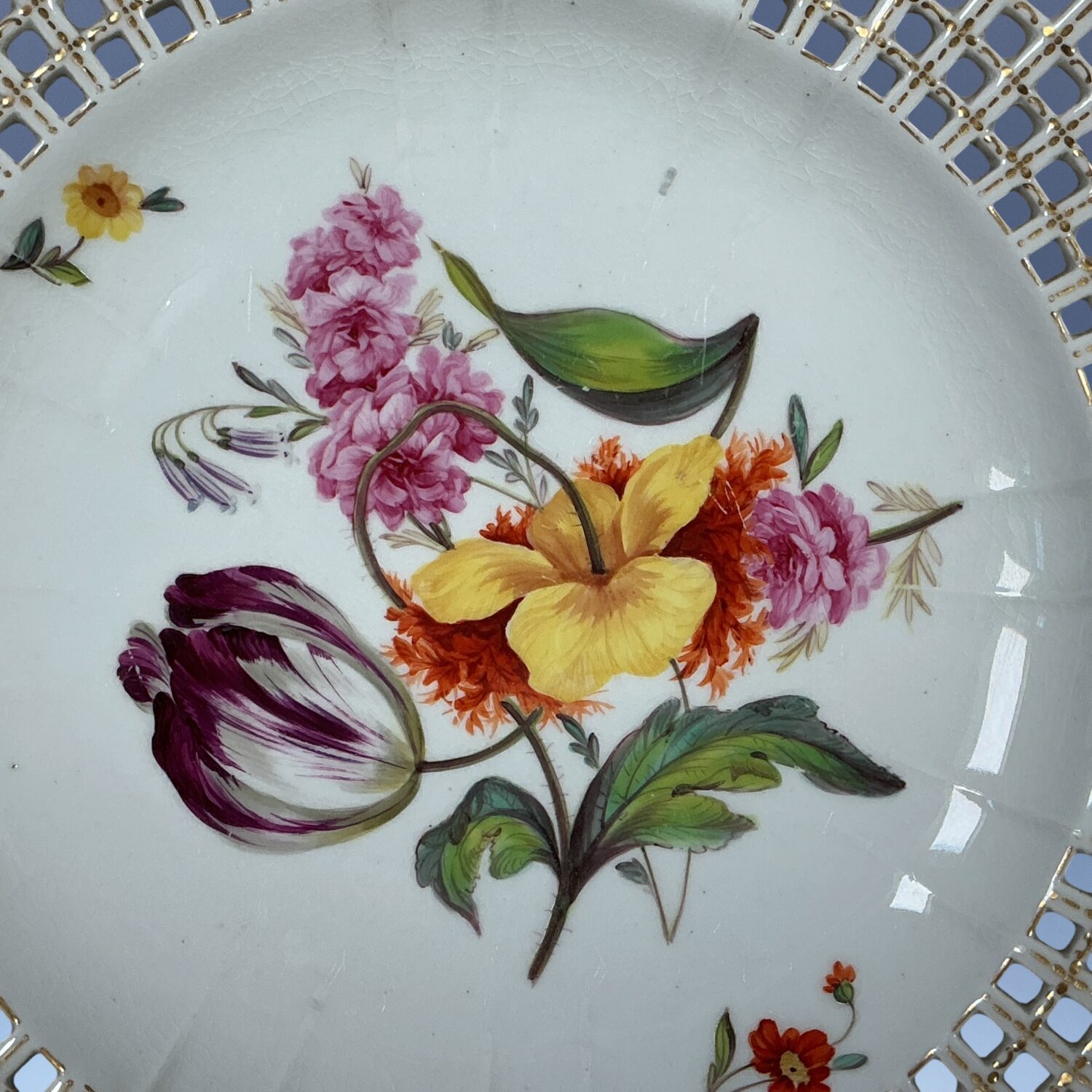 C19th Derby Botanical Plate with Lattice Border. - Image 8