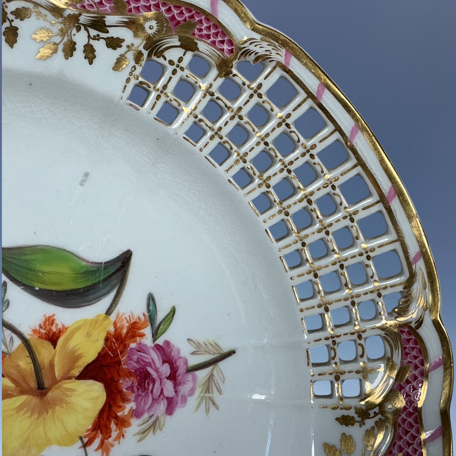 C19th Derby Botanical Plate with Lattice Border. - Image 7