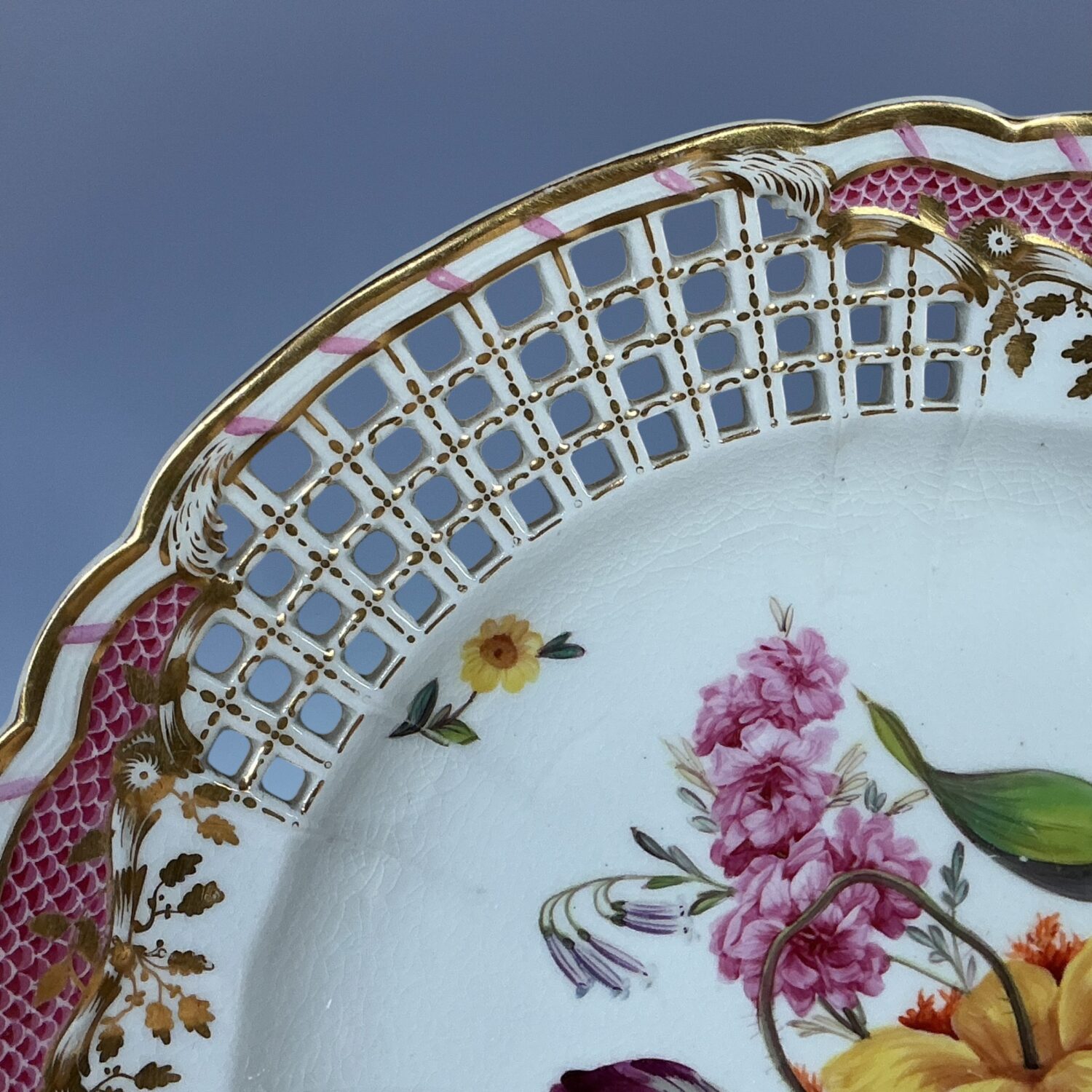 C19th Derby Botanical Plate with Lattice Border. - Image 6