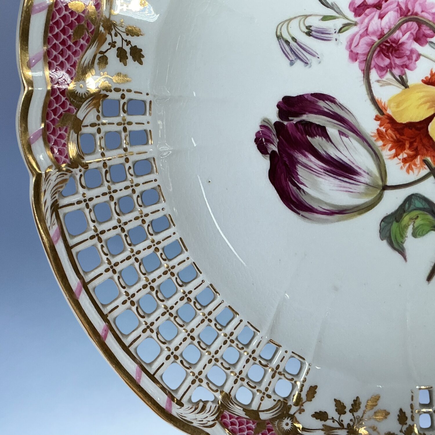 C19th Derby Botanical Plate with Lattice Border. - Image 5