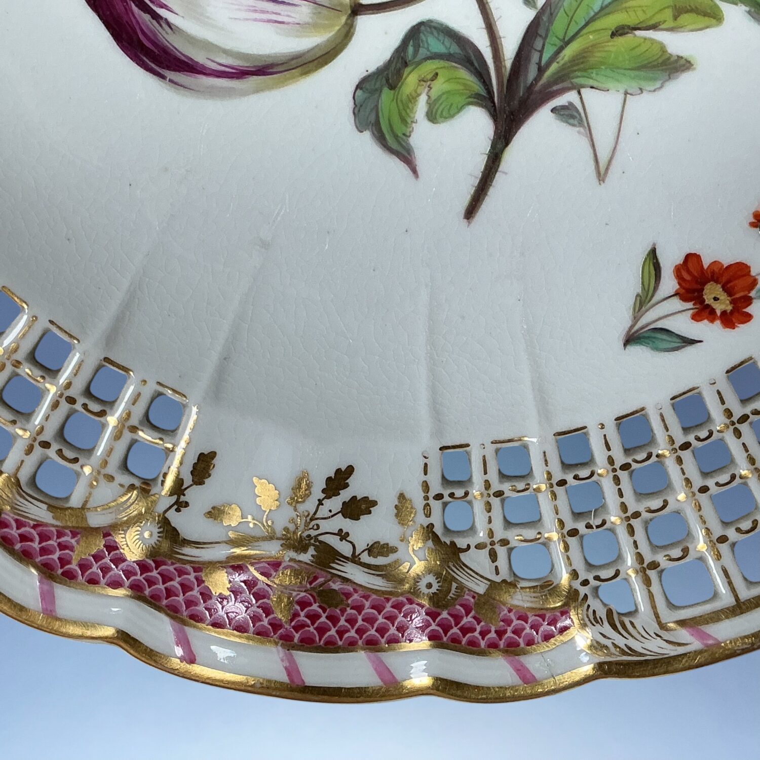 C19th Derby Botanical Plate with Lattice Border. - Image 4