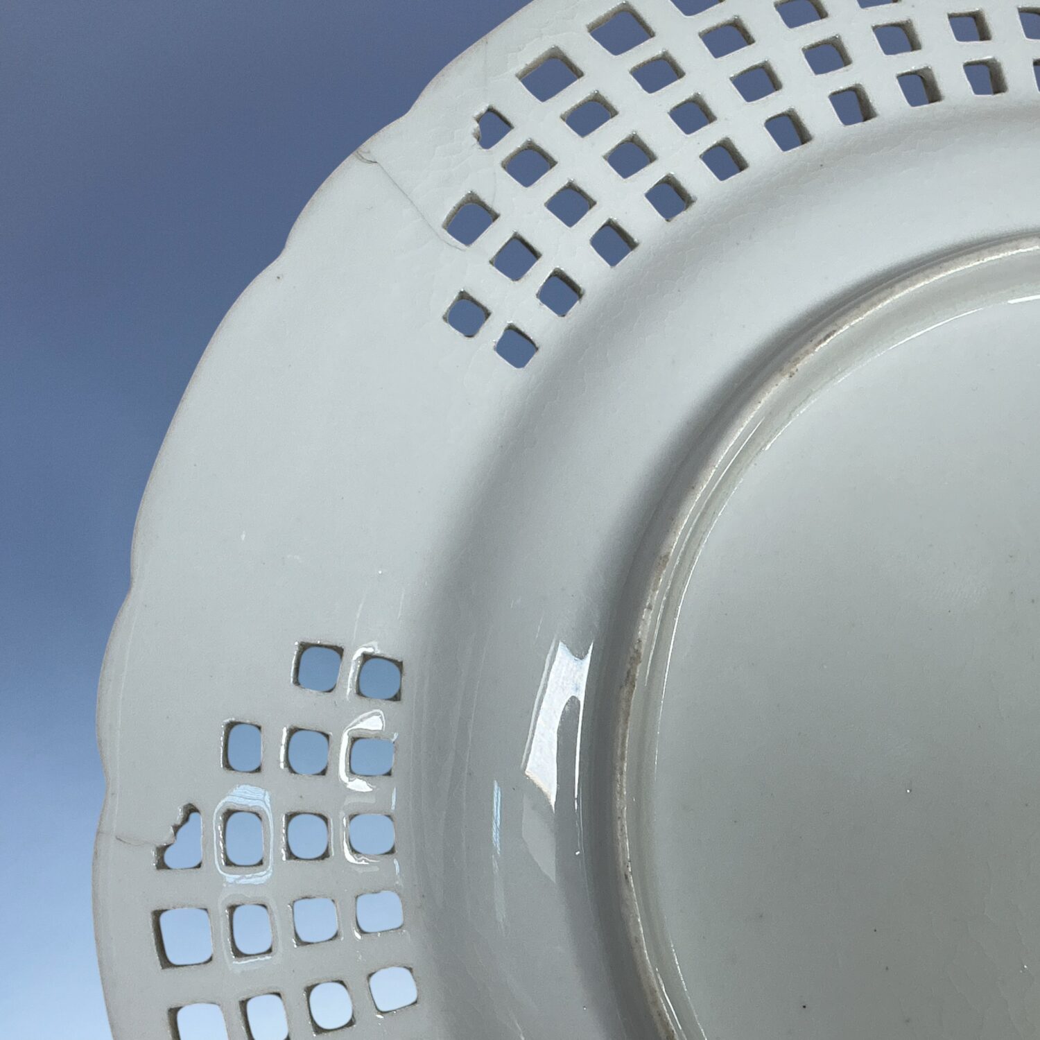 C19th Derby Botanical Plate with Lattice Border. - Image 2